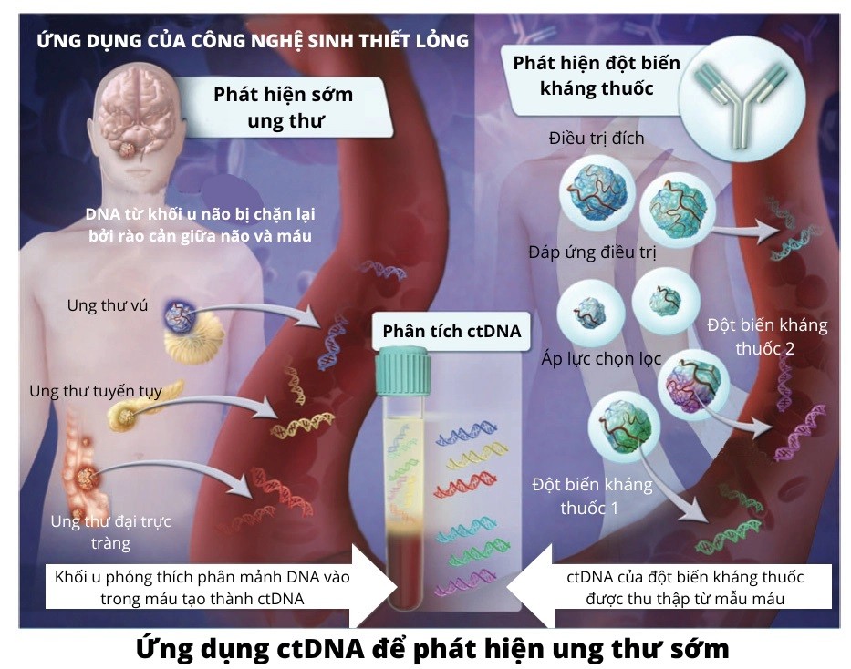 hn-thuong-nien-4-1669602921.png