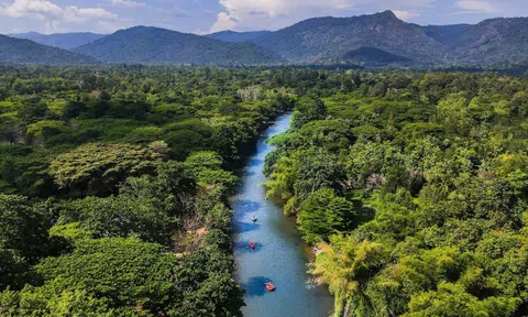 Cách du lịch tốt hơn: hướng dẫn dành cho người mới bắt đầu về du lịch bền vững
