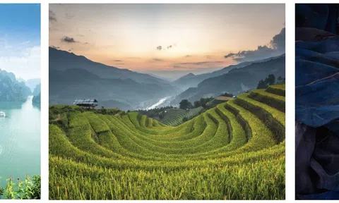 Tiết kiệm 20% khi đặt phòng qua “For The Love of Breathtaking Vietnam” trong hệ sinh thái khách sạn Accor