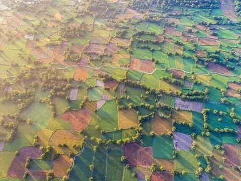 Ghé An Giang mùa lúa chín ngắm nhìn cánh đồng Tà Pạ độc đáo, đủ ô sắc màu