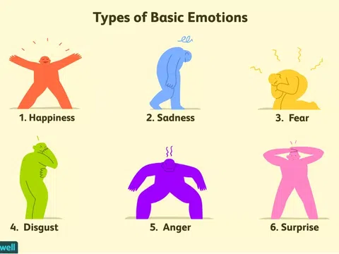 6 loại cảm xúc cơ bản và ảnh hưởng của chúng đến hành vi con người