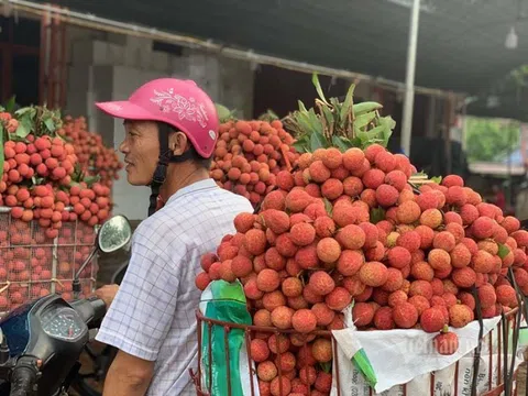 Bộ trưởng Lê Minh Hoan: Thiện nguyện không đúng cách sẽ nảy sinh bất cập